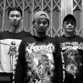 Ababil BDM IN