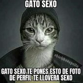 un saludo al goyo pin