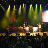 Palmares 2010