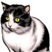 trashykitty 的头像