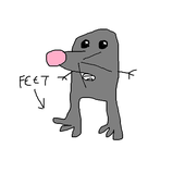 mafakafrog 的头像