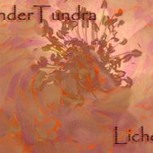 UnderTundra - Lichen