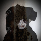 spotify photo 2