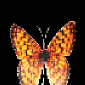 LastFM profile picture for @heartbeat