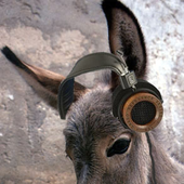 digital_donkey さんのアバター