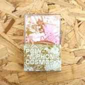 Poly-Phonic Cosmos