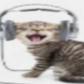 Avatar for Vvarn