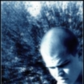Avatar for mr_seene