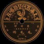 毛毛雨