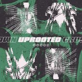 Uprooted
