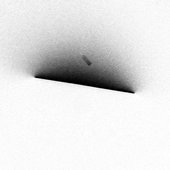 Wrong Mind - Single