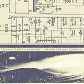 flowersfightforsunshine / Obscured Wingtip Memoir