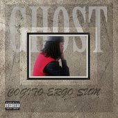 Cogito Ergo Sum