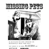 Missing Pets