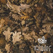 Parques Disco Debut 2017