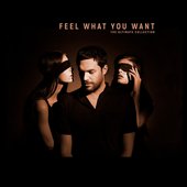 Feel What You Want - The Ultimate Collection (feat. Rebecca)