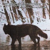 Жестокость и власть