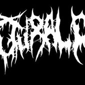 Band logo 