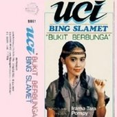 Uci b.jpg