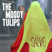 Salvo - EP