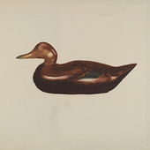 Awatar dla oakwoodduck