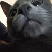 m1ssocio 的头像