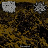 The Erosion Split - Single