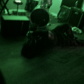 On the floor