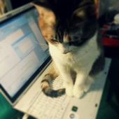 Avatar for wagneko
