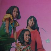 The Favourites (Indonesia)