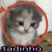 tadinho