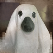 The Ghost Dog