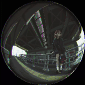 Avatar for Anitamaxwayne