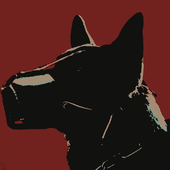 Avatar for houseofcardsss