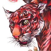 Avatar de tigersoul1961