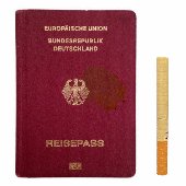 Bruder + Schwester - Single