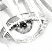 Avatar for shirotoko