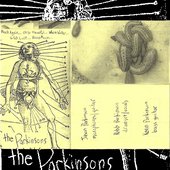 Self-titled tape by The Parkinsons from Albany, NY