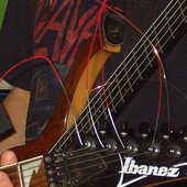 Bloodline-Project 2008
