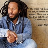 Ziggy Marley
