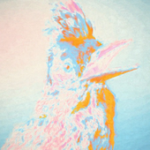 Avatar for CharlesAttend