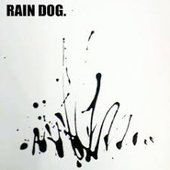 Rain Dog