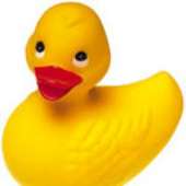 Avatar di rfduck