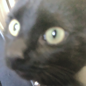 himeyeet 的头像