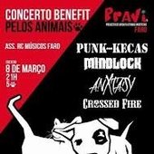 Concerto benefit PRAVI - 2013