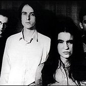 The Delgados