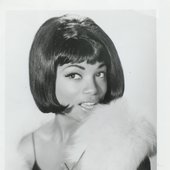 LYN-ROMAN-DOT-PARAMOUNT-8X102.jpg