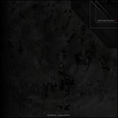 Infraröd Portal-2