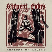 Anatomy of Abuses