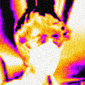 46.png